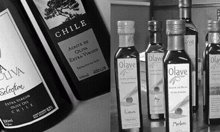 ACEITE DE OLIVA CHILENO<br />SE CONVERTIRÁ EN MARCA MUNDIAL<br />