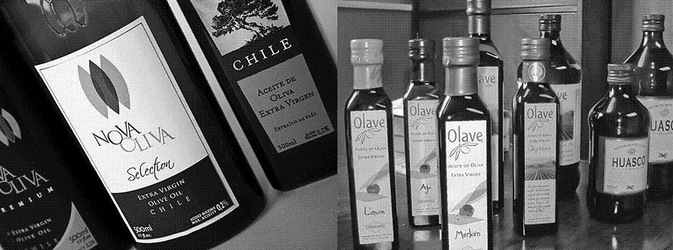 ACEITE DE OLIVA CHILENO<br />SE CONVERTIRÁ EN MARCA MUNDIAL<br />