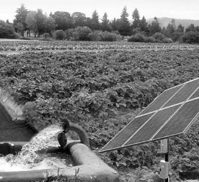 PEQUEÑOS AGRICULTORES OBTIENEN BONO  PARA TECNIFICAR SISTEMAS DE RIEGOS